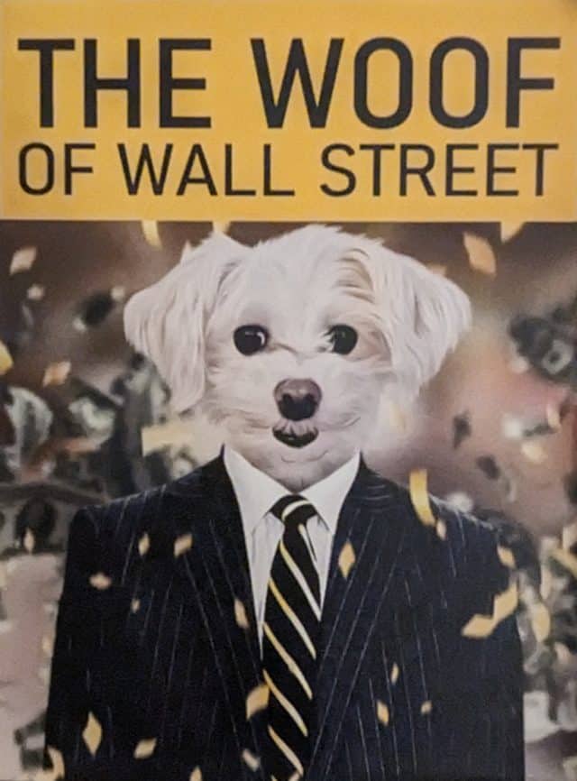 Lorelei - CFO